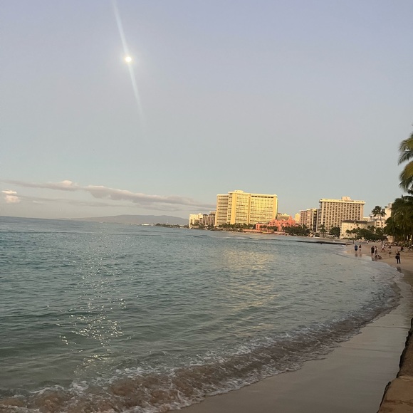 Meet your Posher, Kaycee - Picture 1 of 1